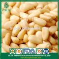 Bulk Popular Fast Food Organic Korean Pine Nut Kernels